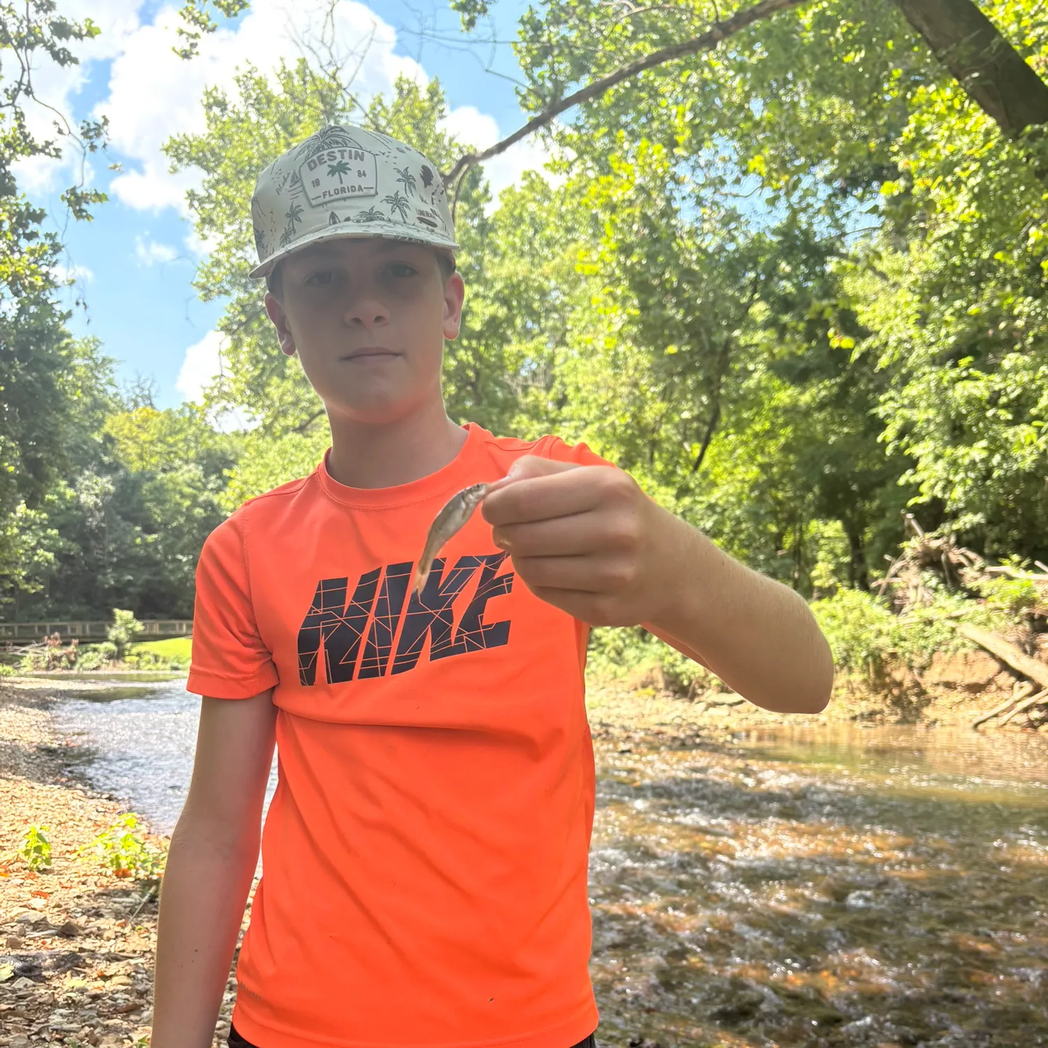 The most recent Ozark minnow catches on Fishbrain