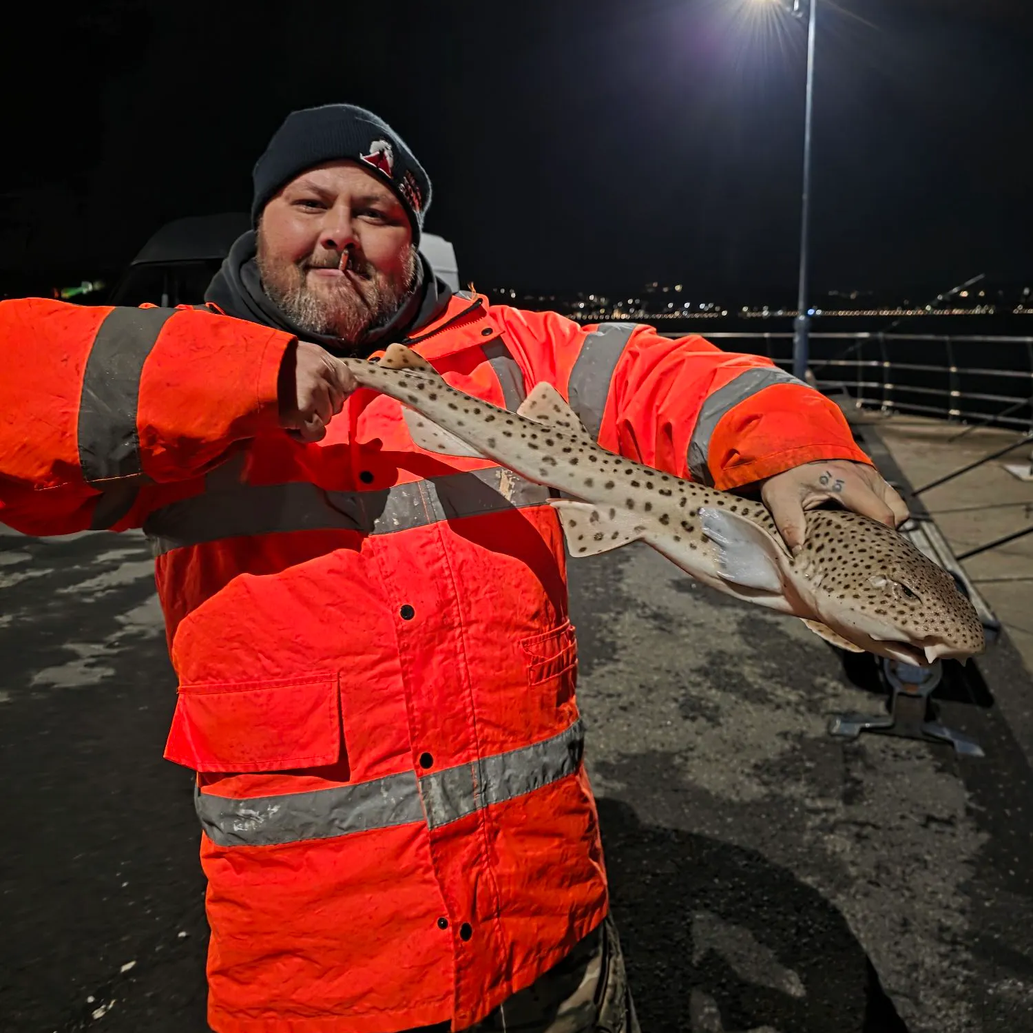 The most recent Nursehound catches on Fishbrain