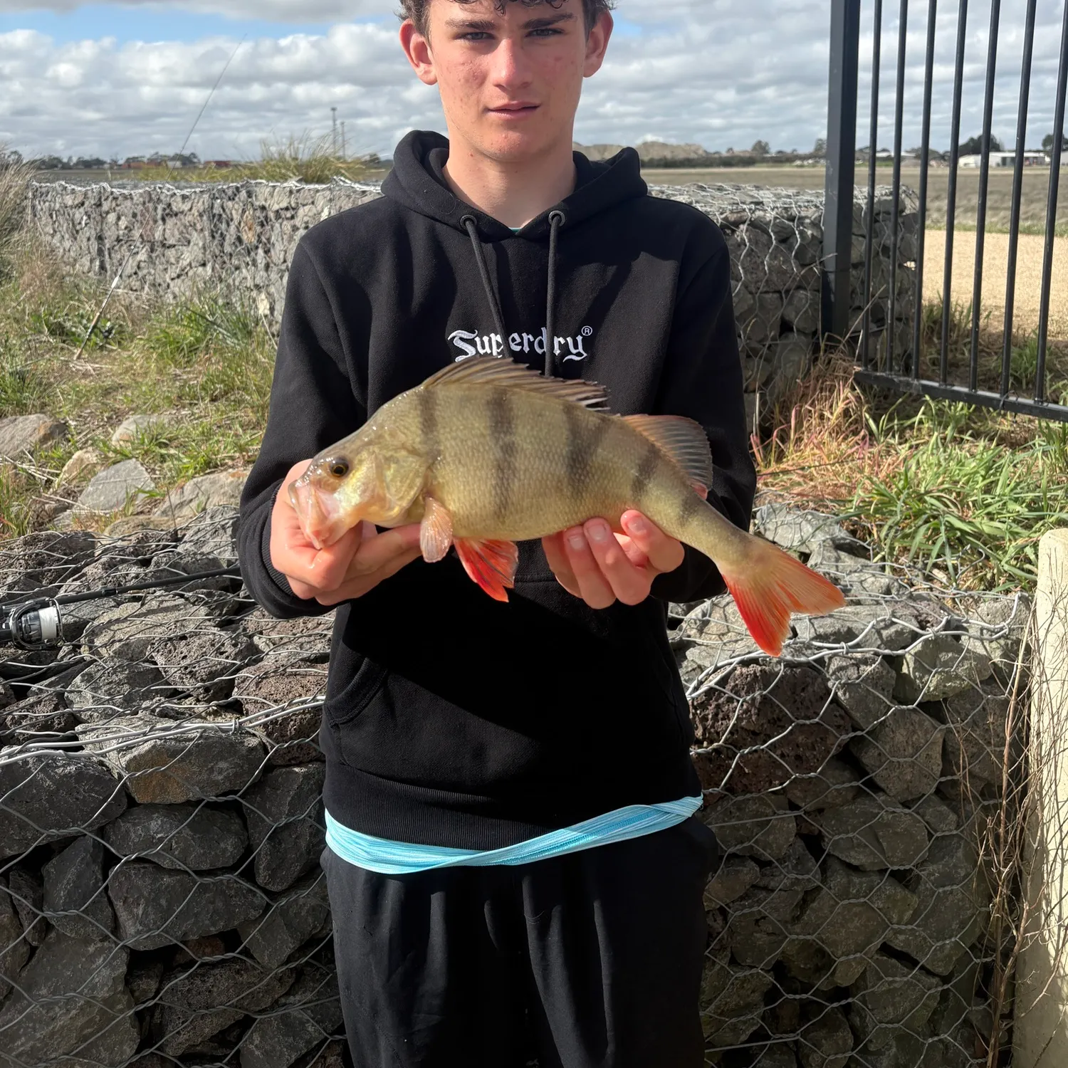 European perch caught on Fishbrain