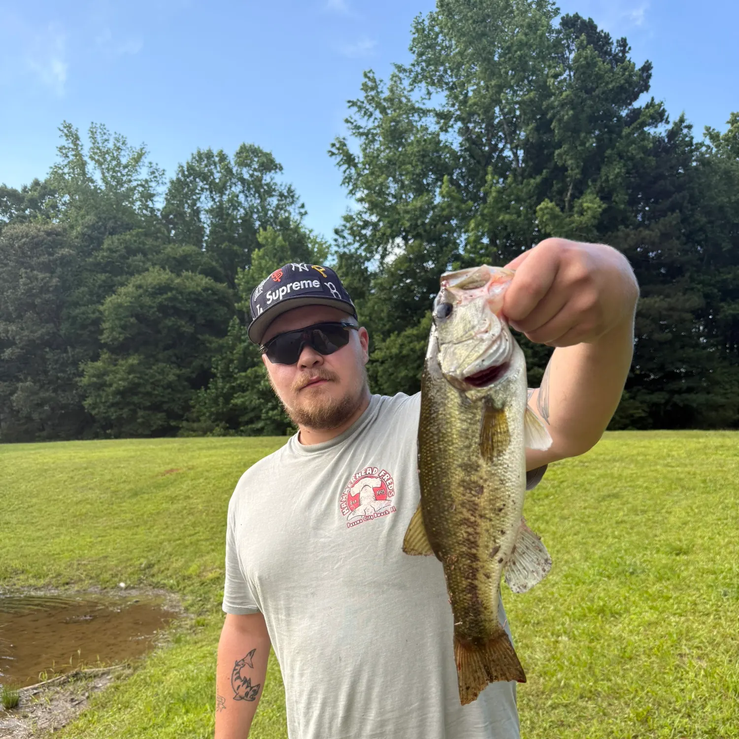 The most recent F1 bass catches on Fishbrain