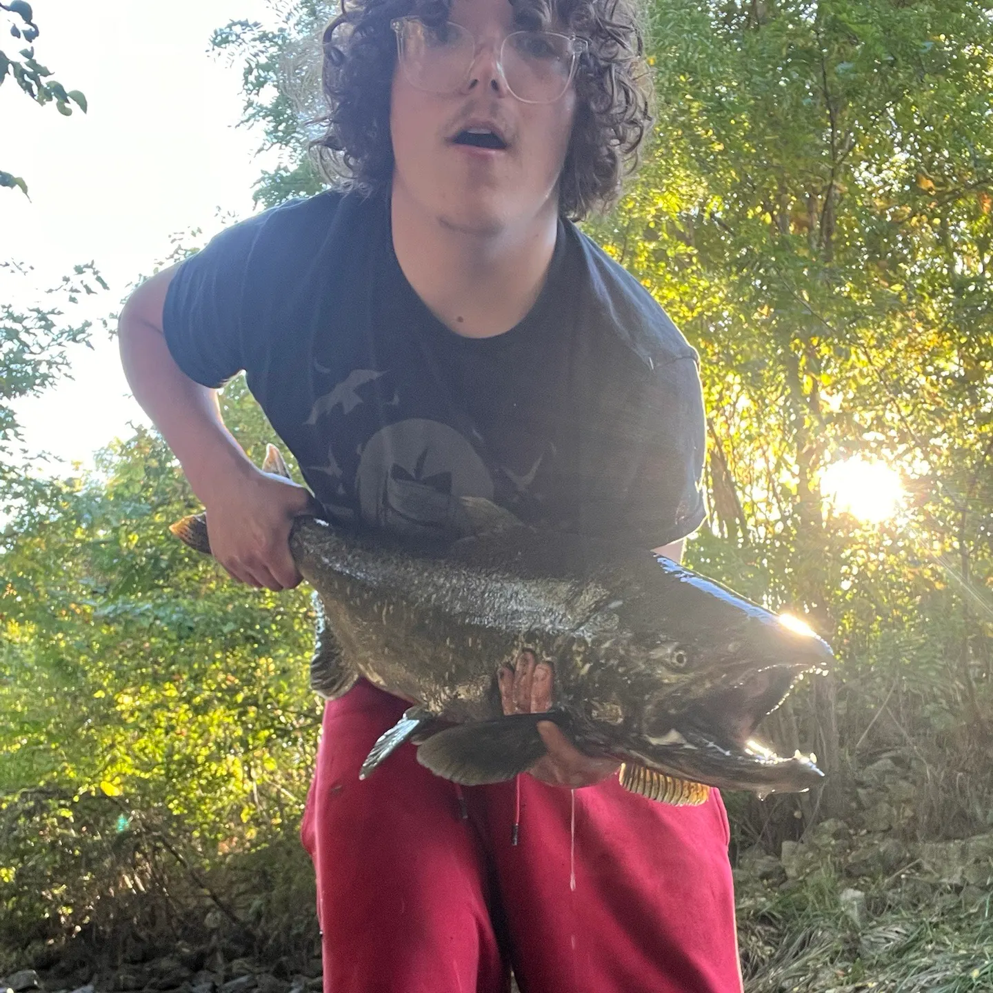 Chinook salmon caught on Fishbrain