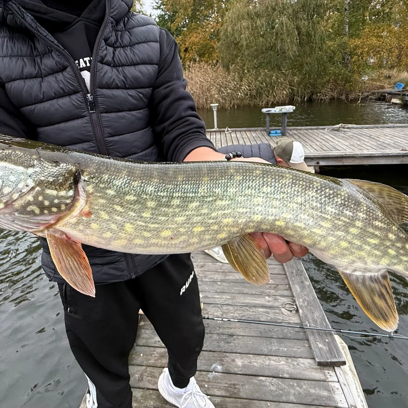 Northern pike caught on Fishbrain
