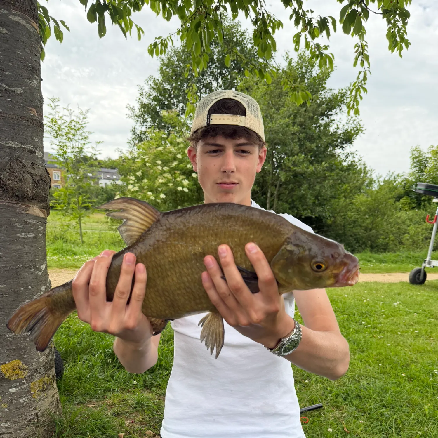 The most recent Common bream catches on Fishbrain