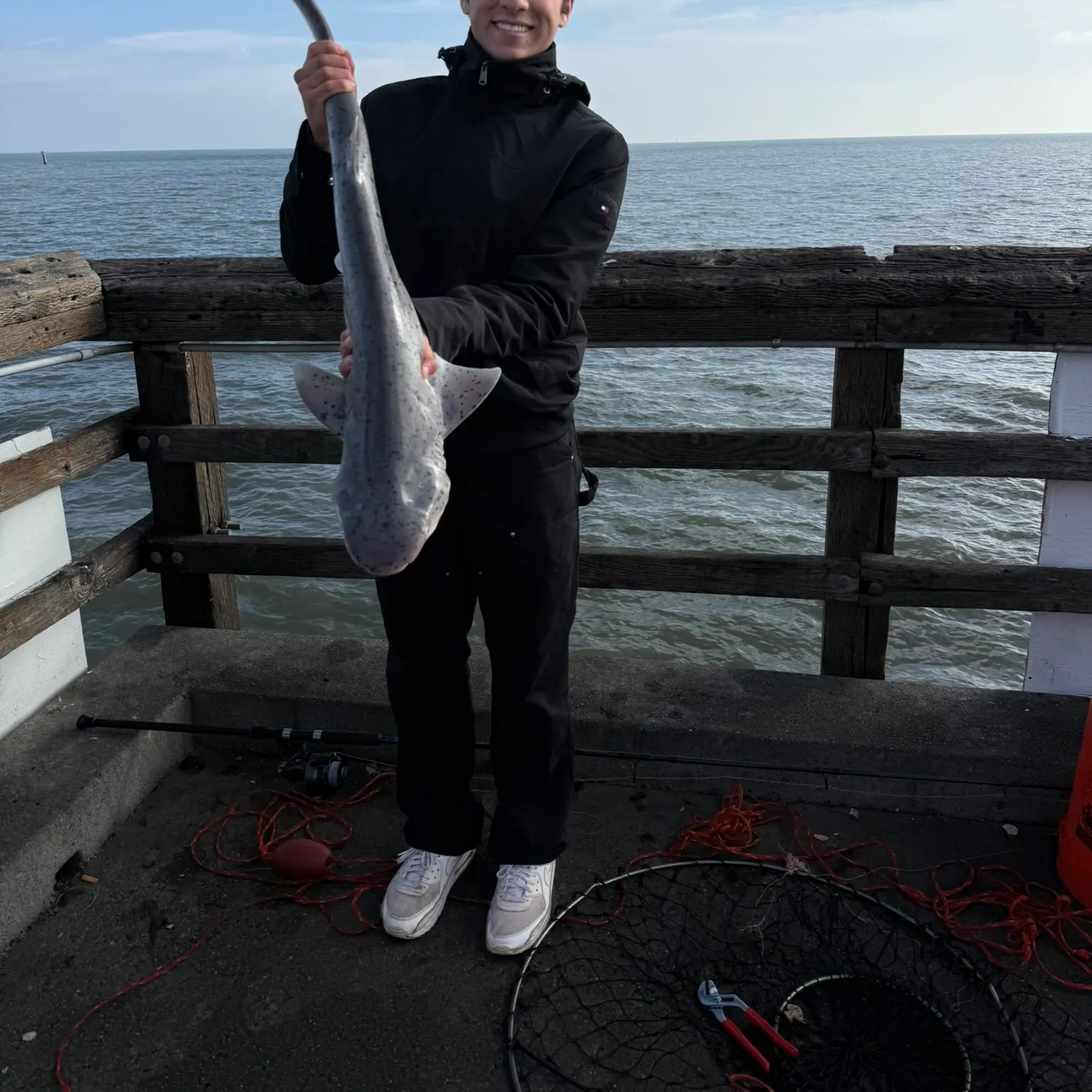 The most recent Bluntnose sixgill shark catches on Fishbrain