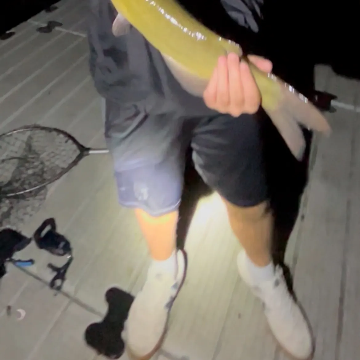 Channel catfish caught on Fishbrain