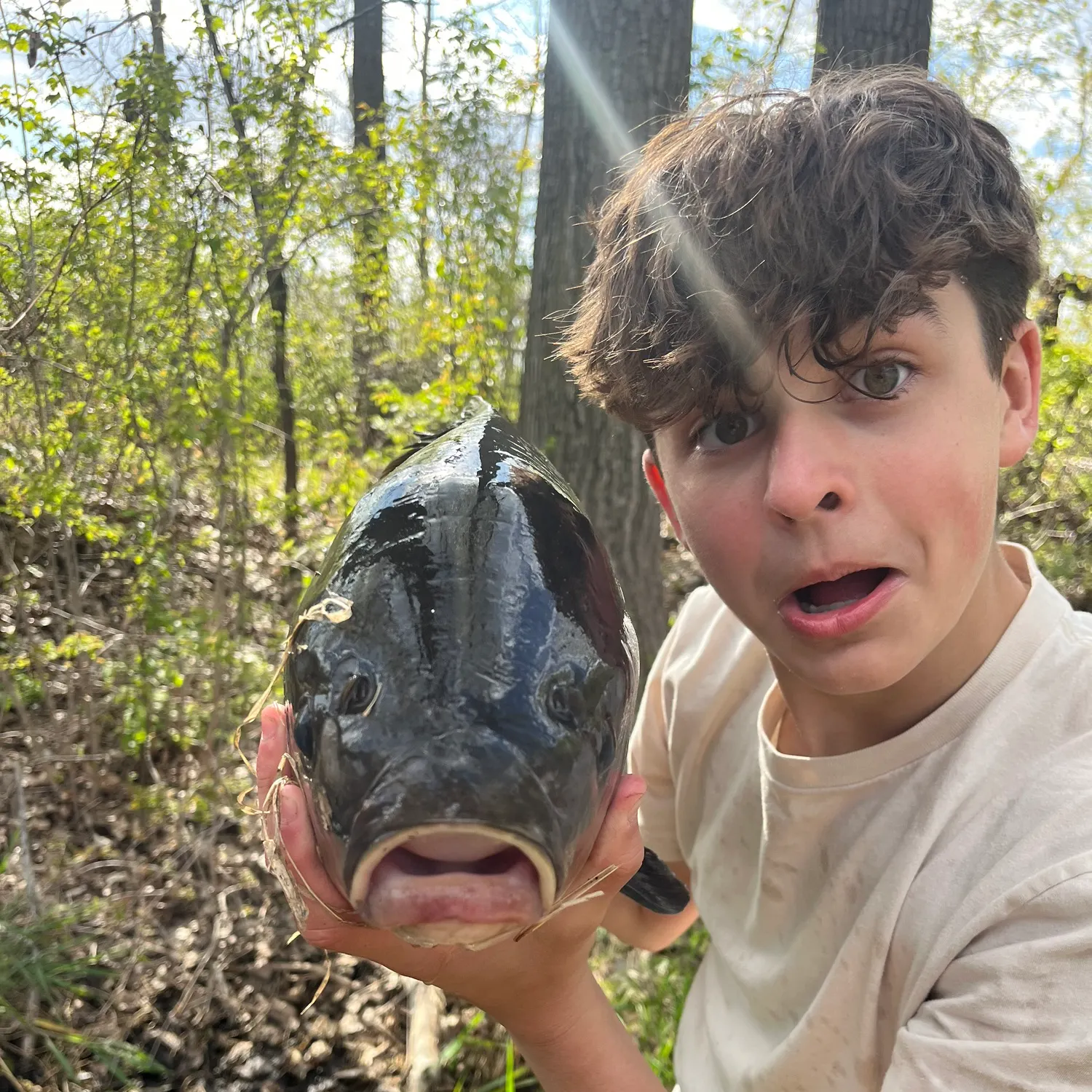 The most recent Black buffalo catches on Fishbrain