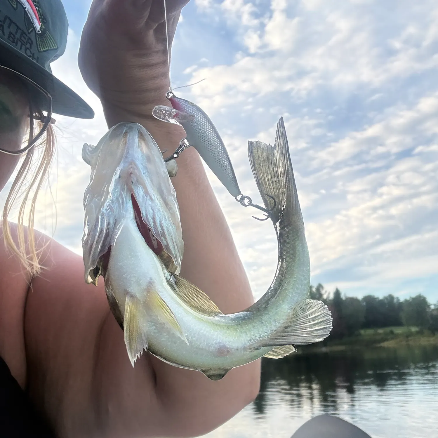 Largemouth bass caught on Fishbrain