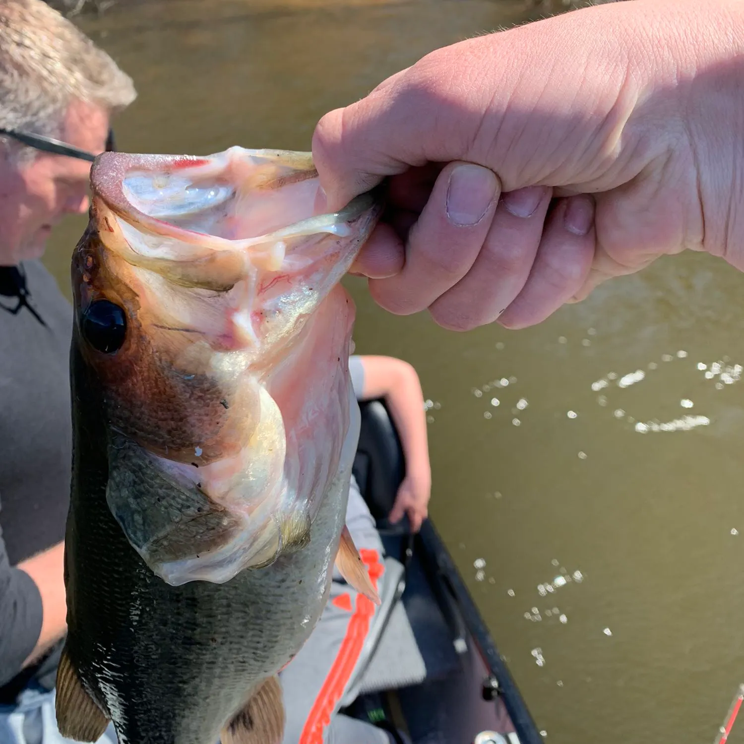 angler catch
