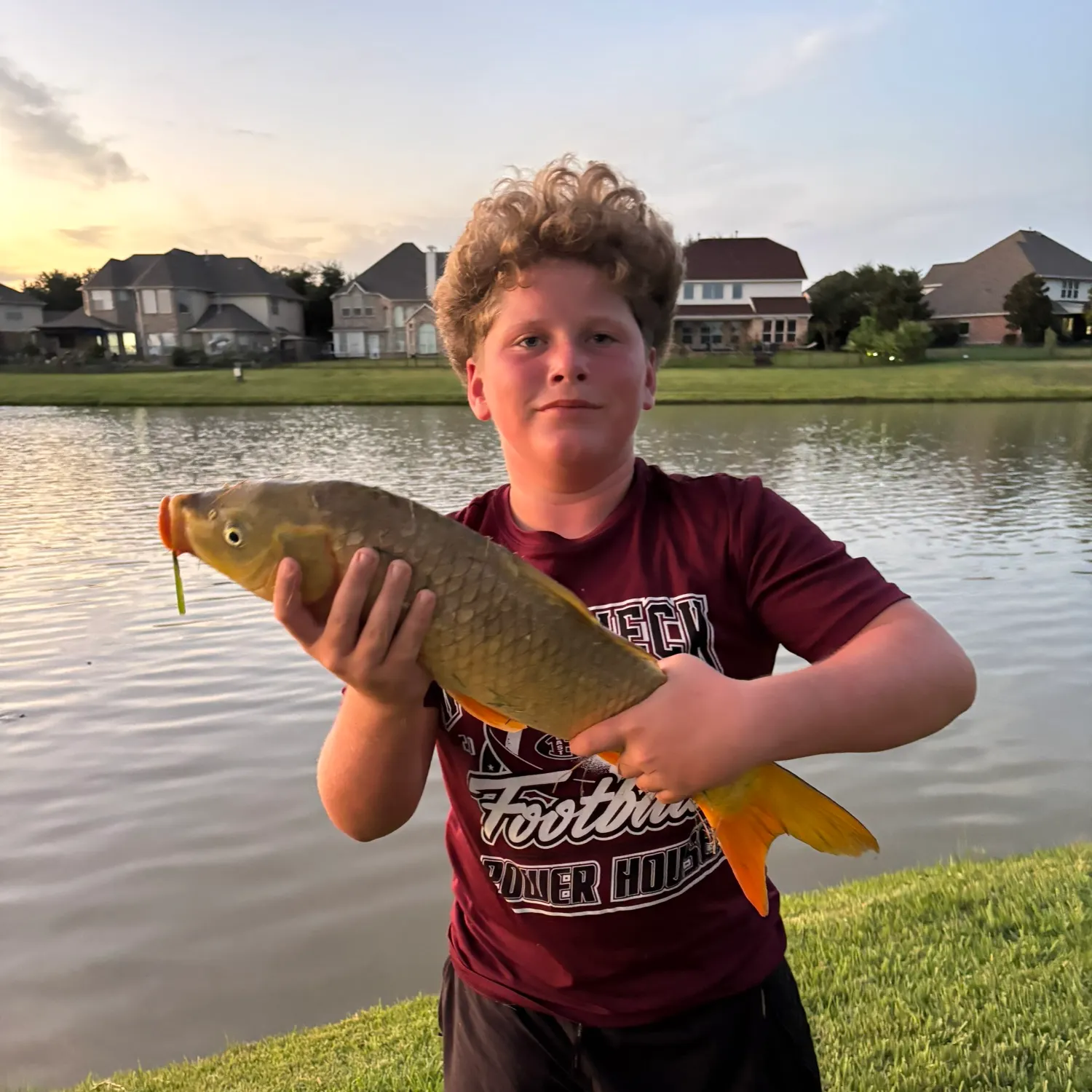 Common carp caught on Fishbrain