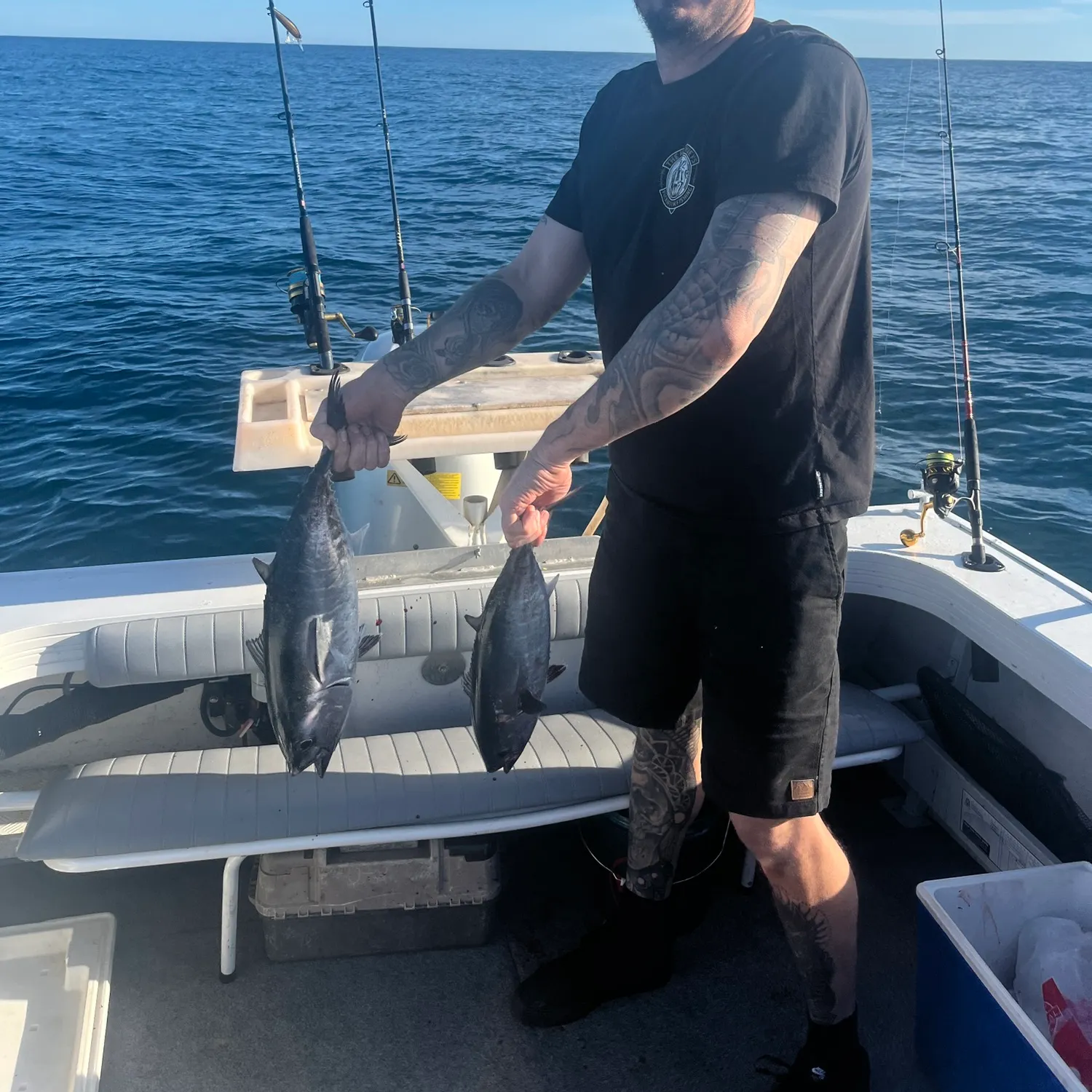 The most recent Southern bluefin tuna catches on Fishbrain