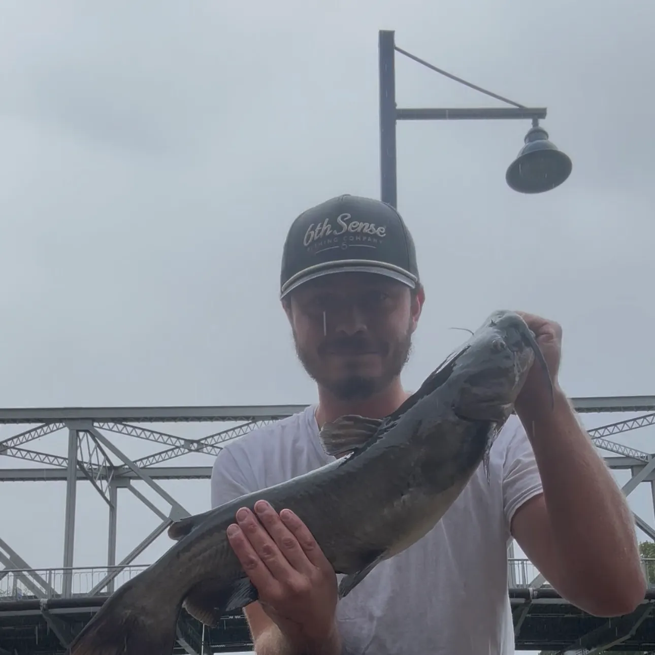 Channel catfish caught on Fishbrain
