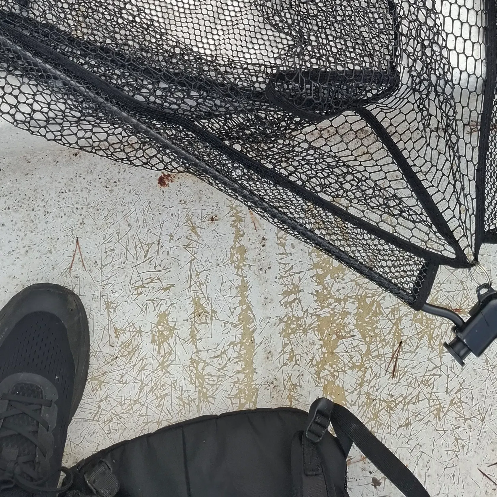 Northern pike caught on Fishbrain