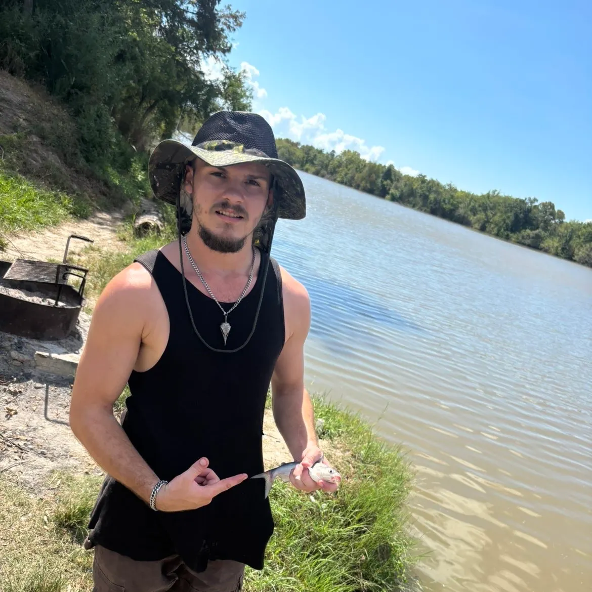 Blue catfish caught on Fishbrain