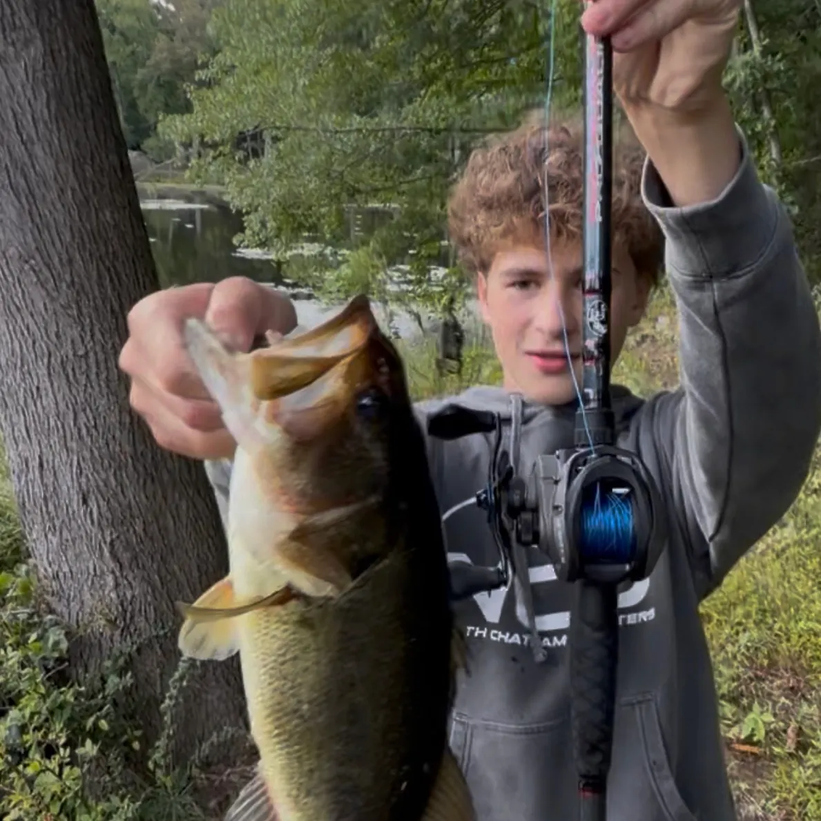 Largemouth bass caught on Fishbrain