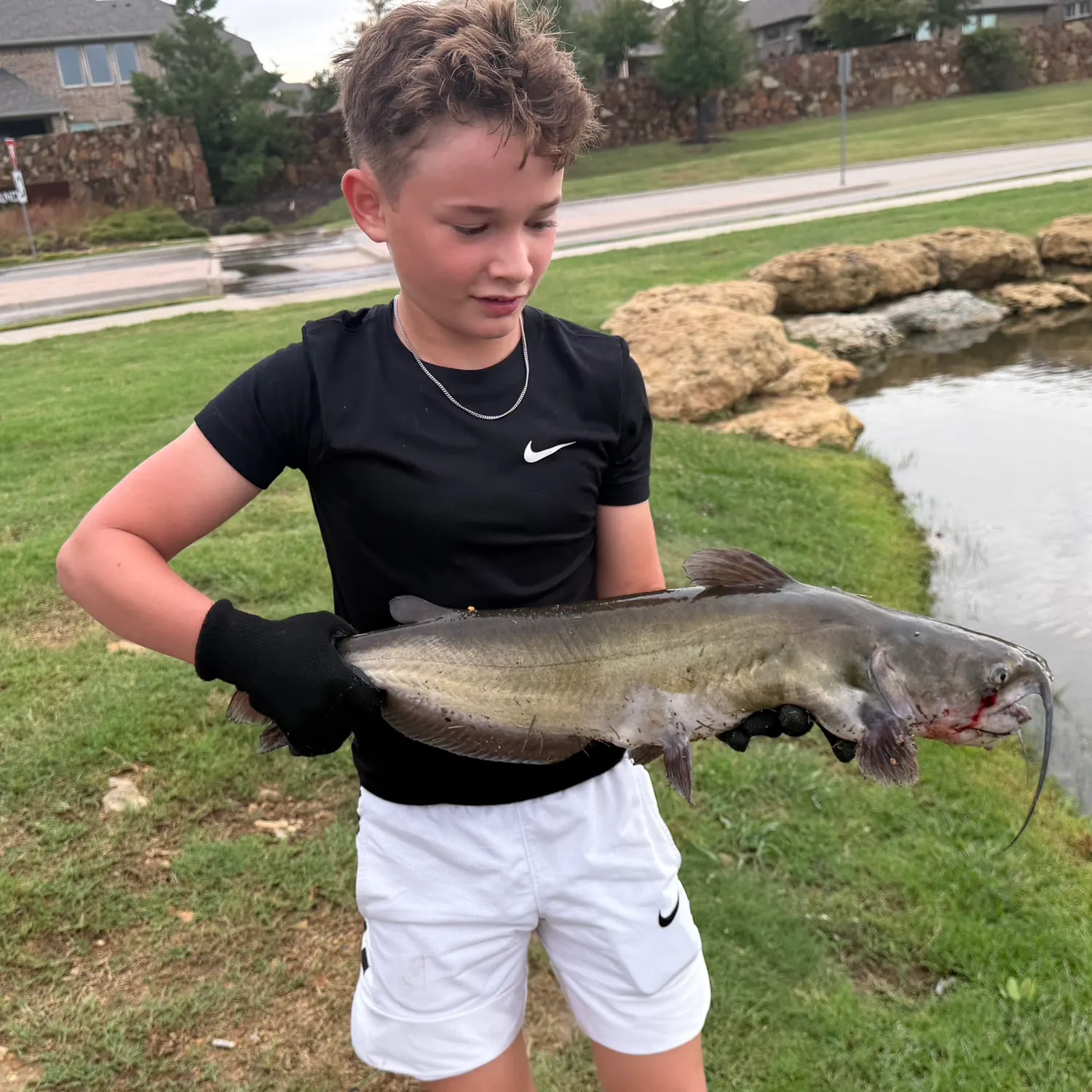 Channel catfish caught on Fishbrain