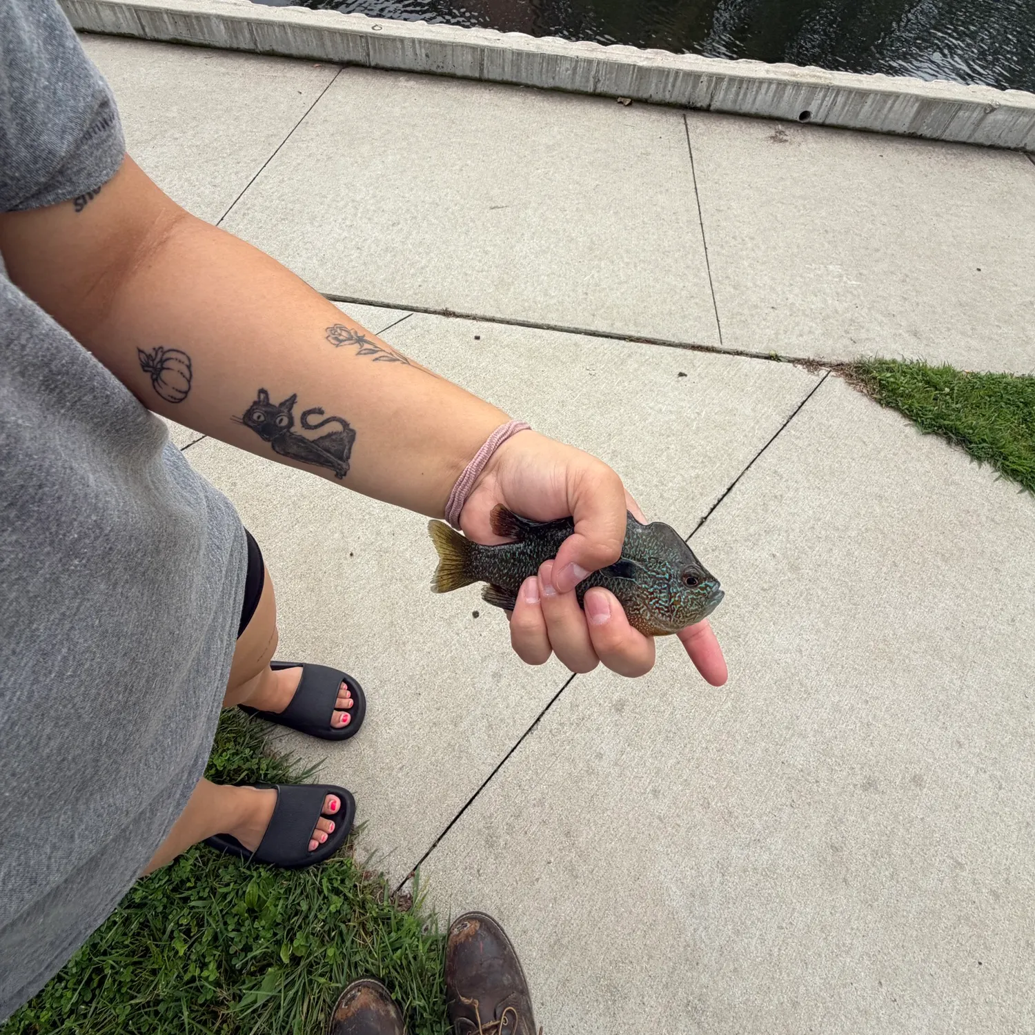 catch