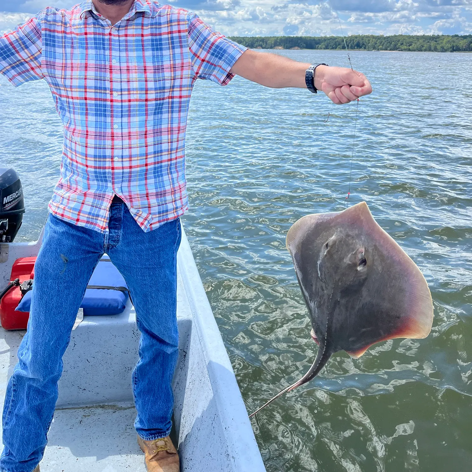Atlantic stingray caught on Fishbrain
