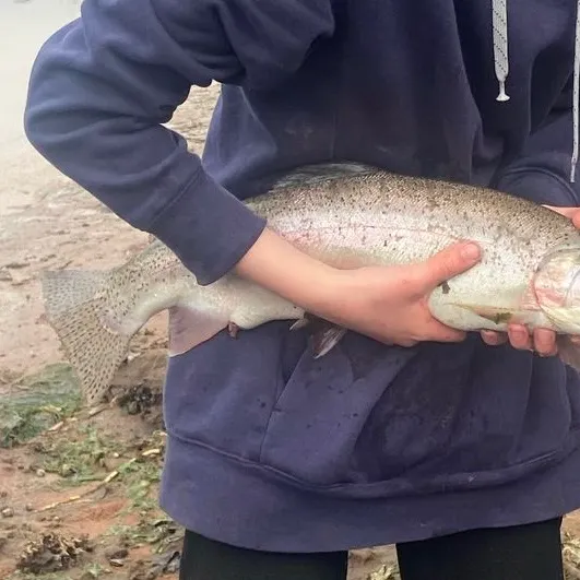 Rainbow trout caught on Fishbrain