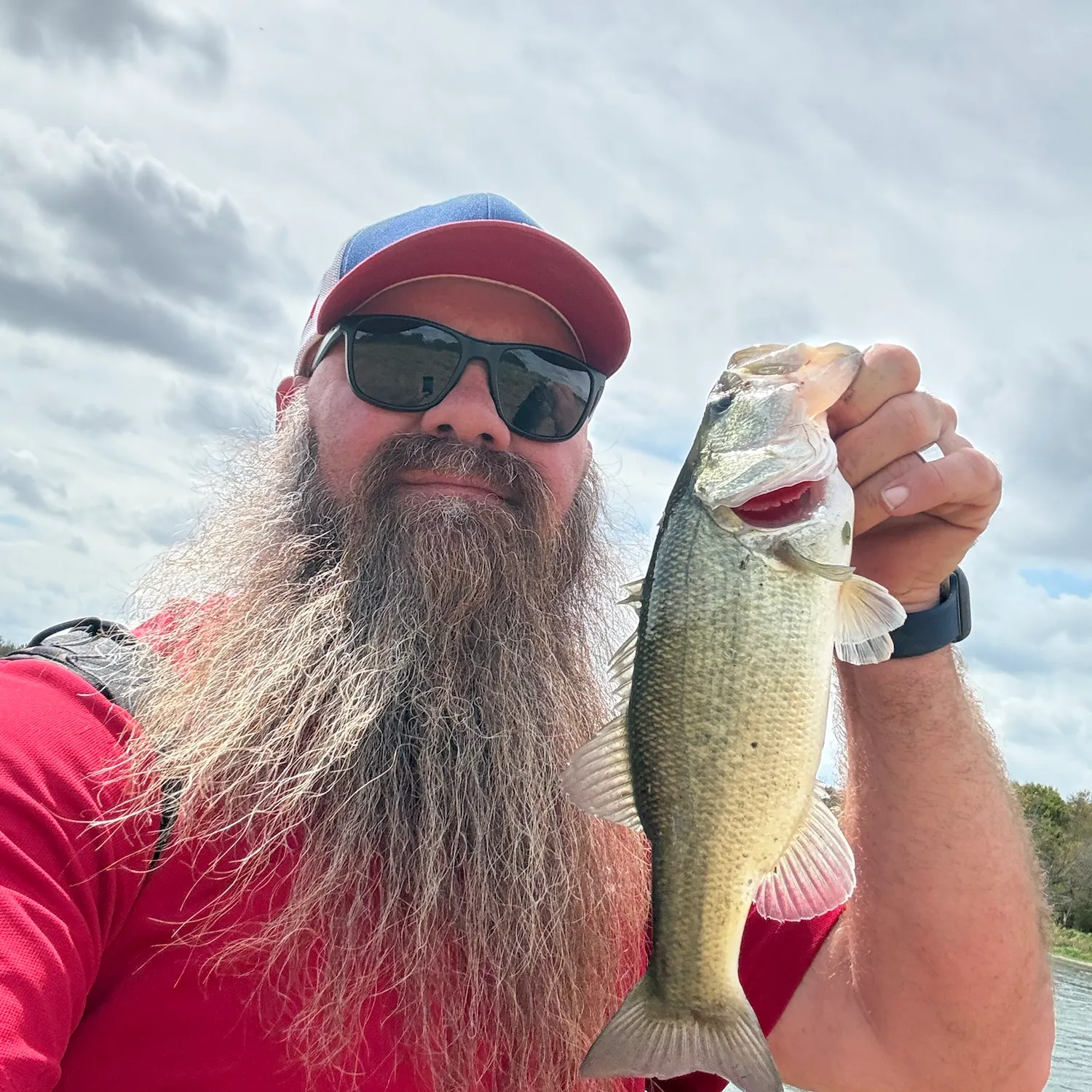Largemouth bass caught on Fishbrain