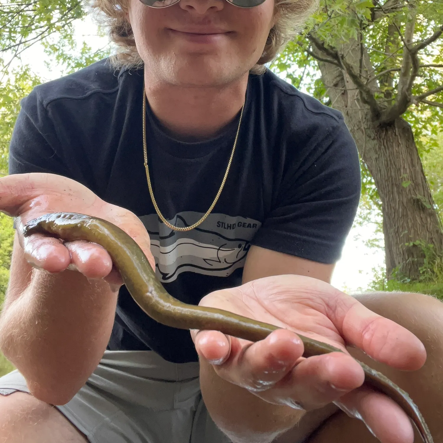 The most recent Chestnut lamprey catches on Fishbrain