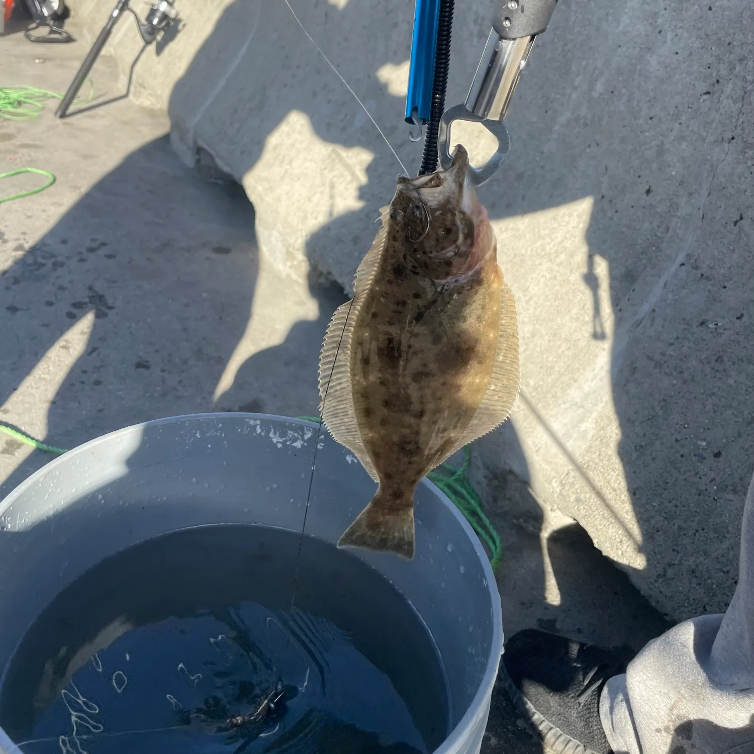 catch