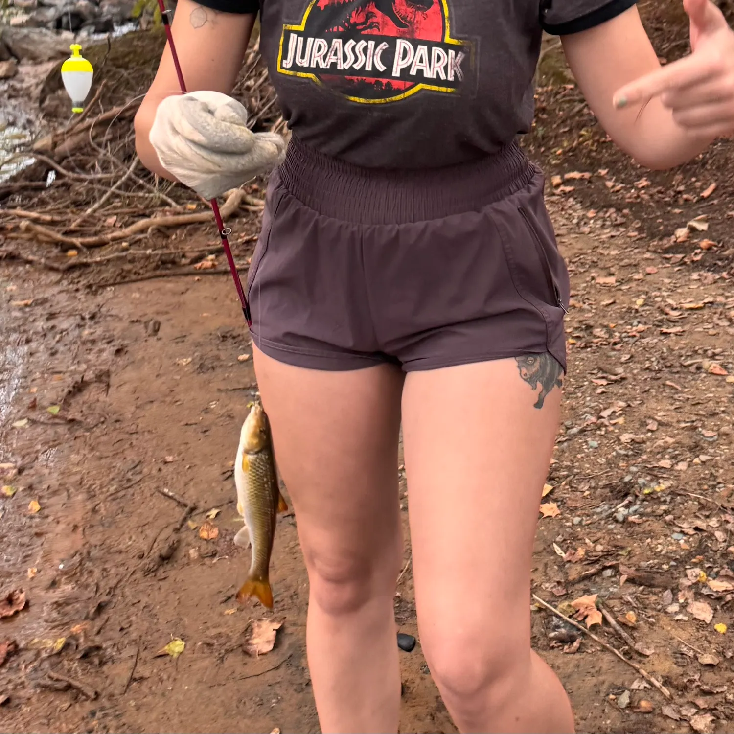 Creek chub caught on Fishbrain