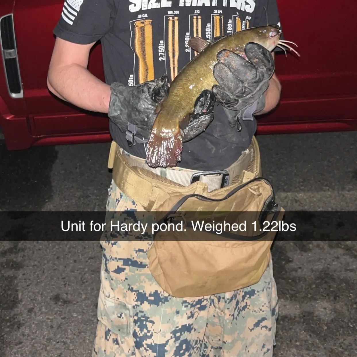 Yellow bullhead caught on Fishbrain