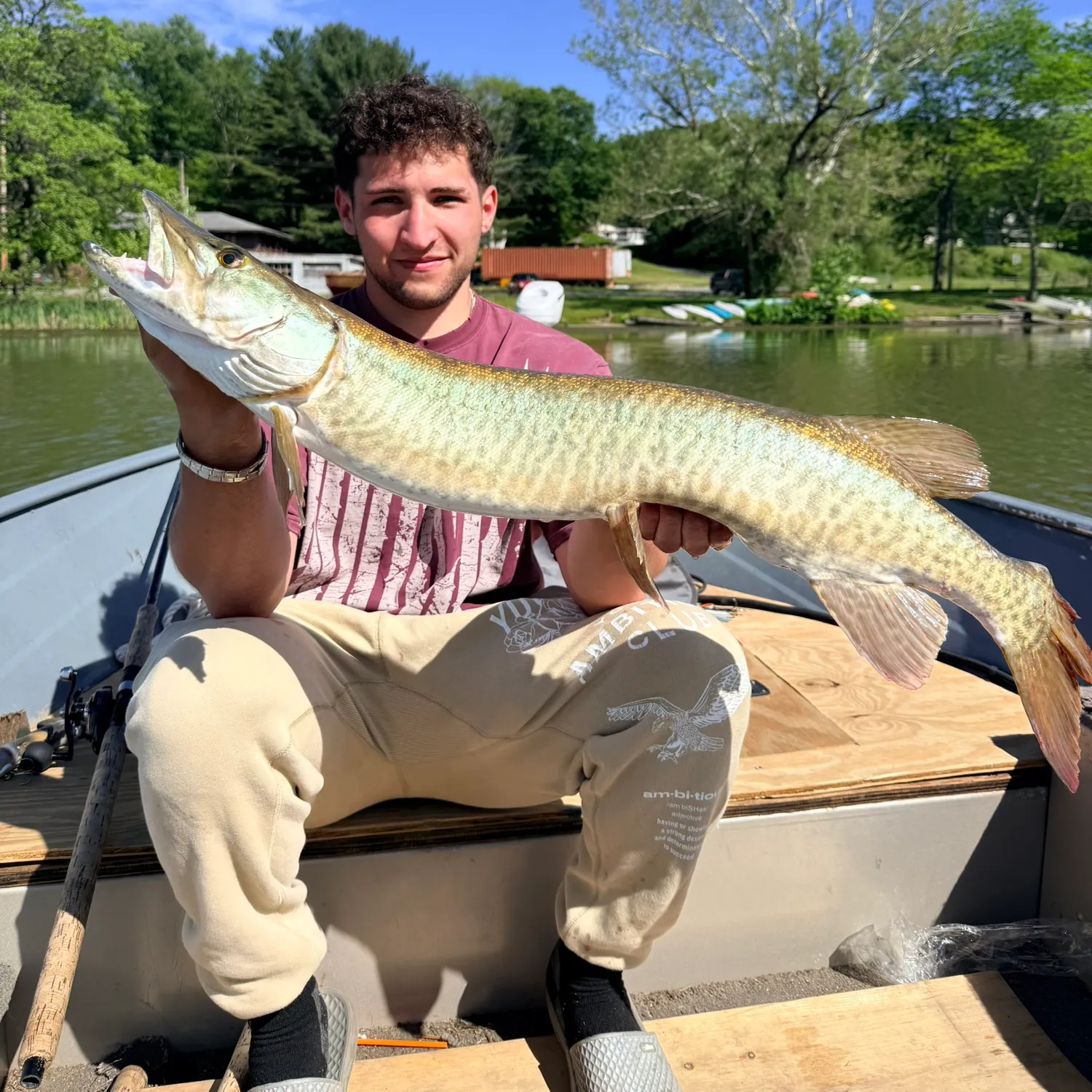 The most recent Muskellunge catches on Fishbrain