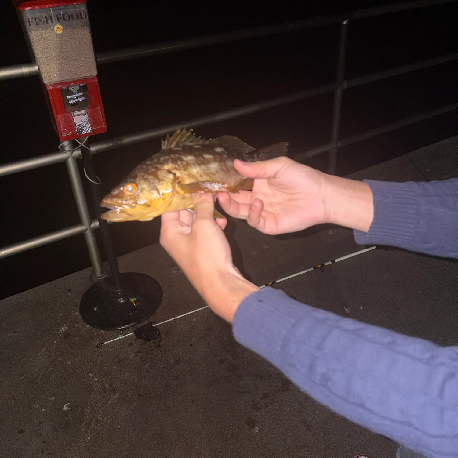catch