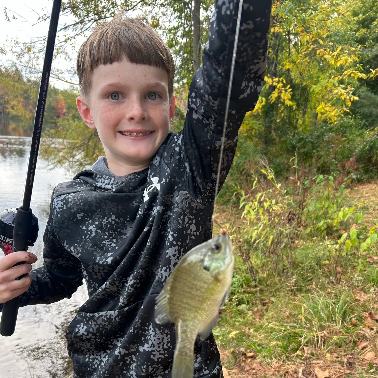 Bluegill caught on Fishbrain