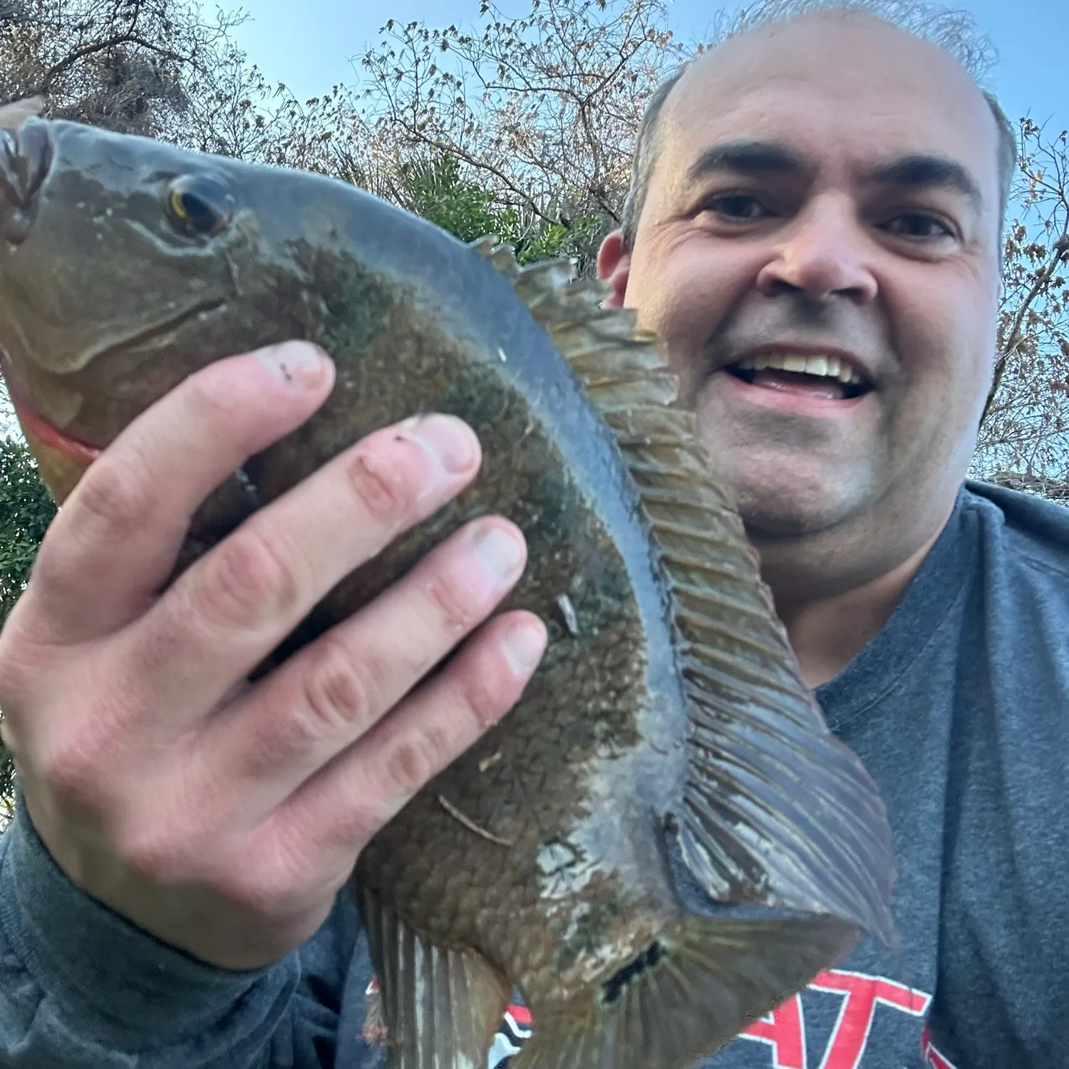 The most recent Mayan cichlid catches on Fishbrain