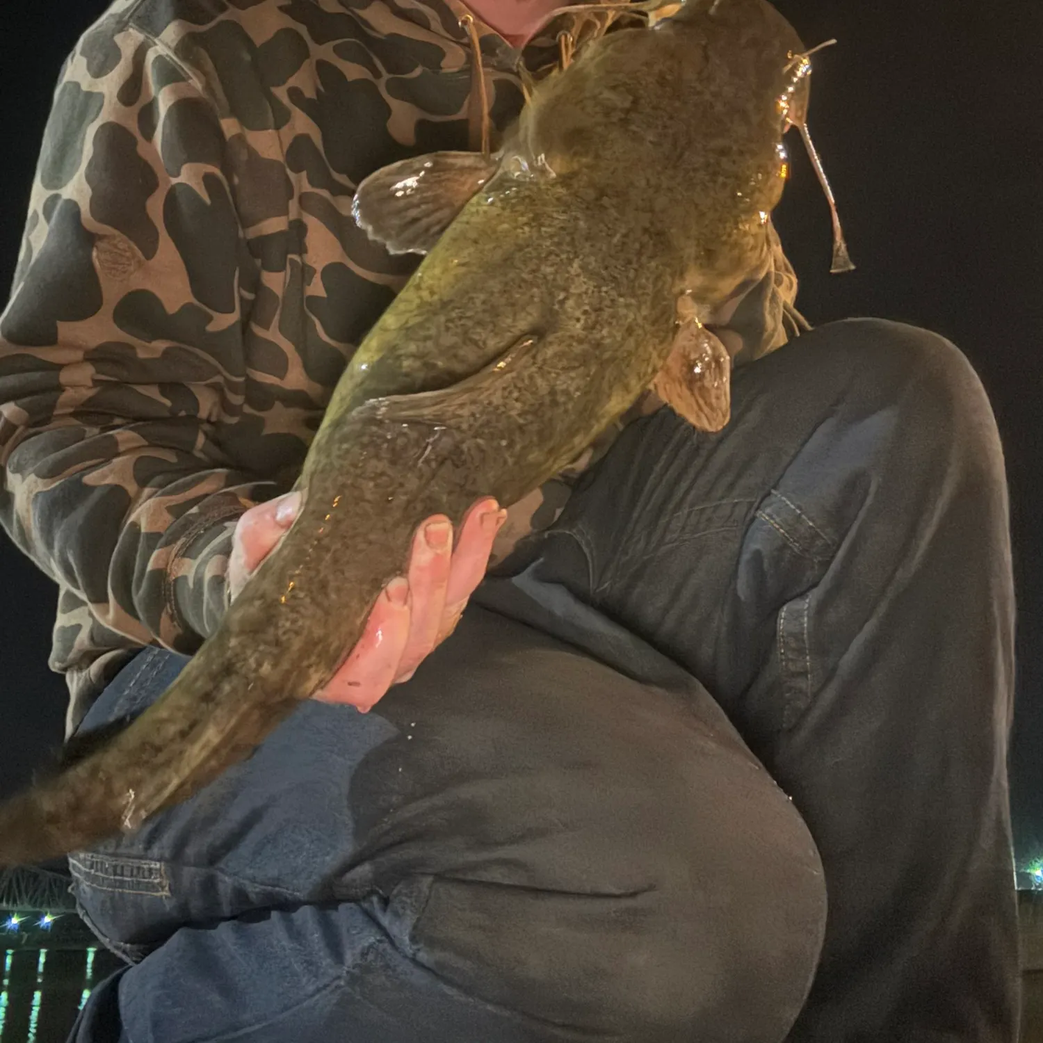 Flathead catfish caught on Fishbrain