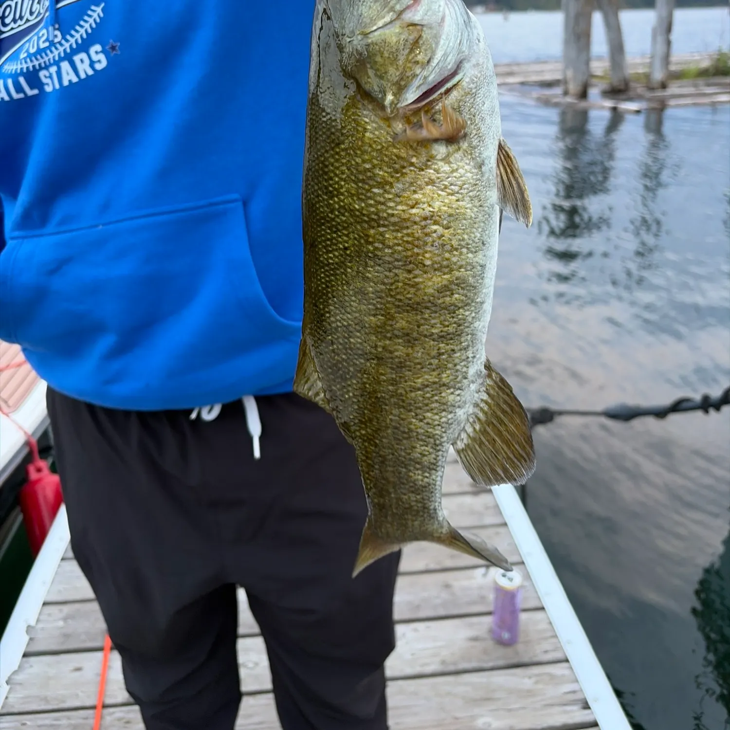 Smallmouth bass caught on Fishbrain