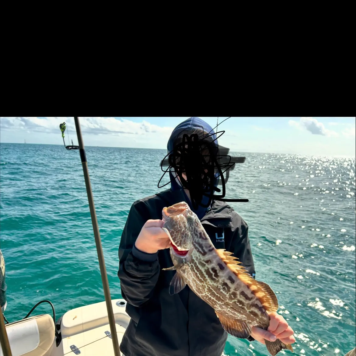 The most recent Black grouper catches on Fishbrain