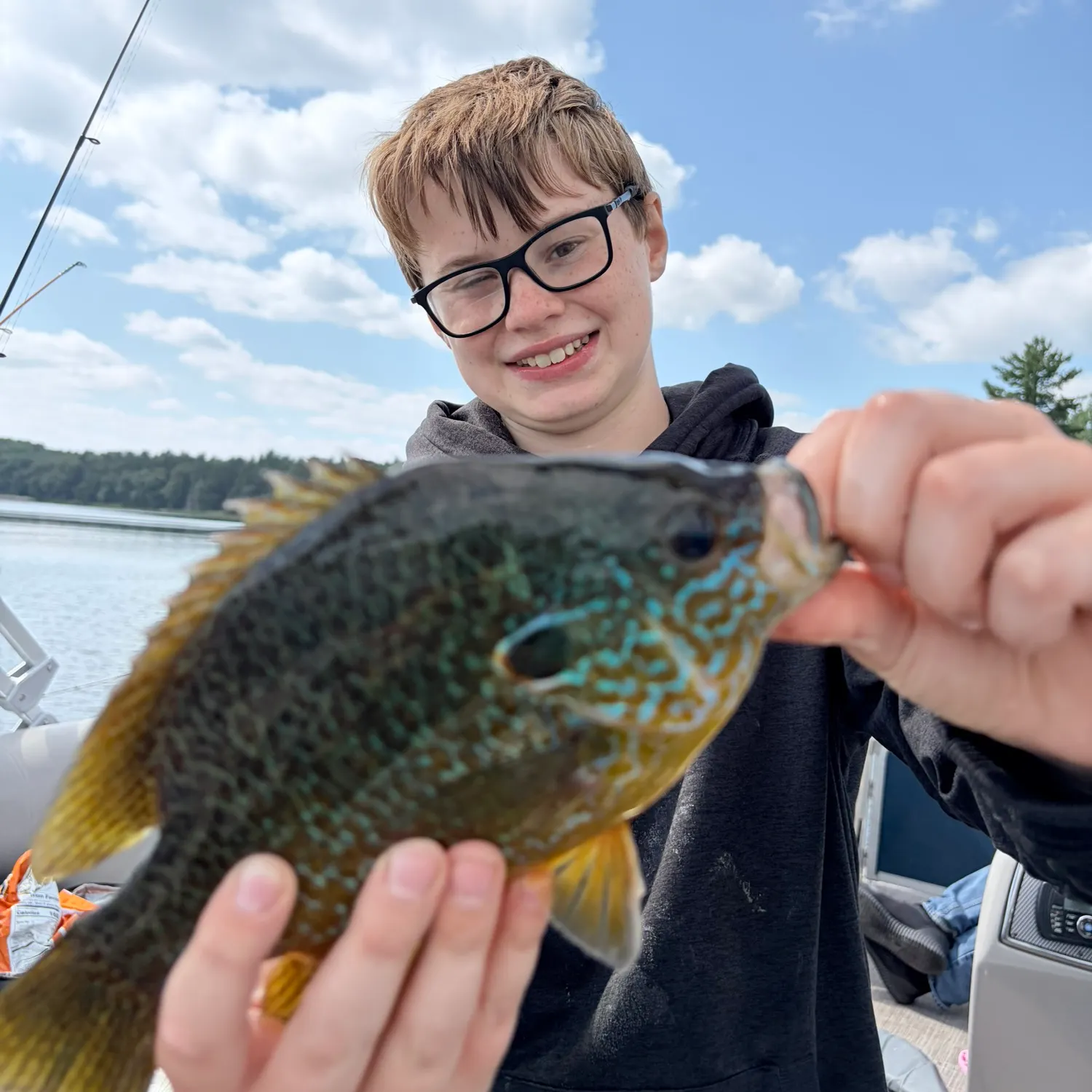 Pumpkinseed caught on Fishbrain