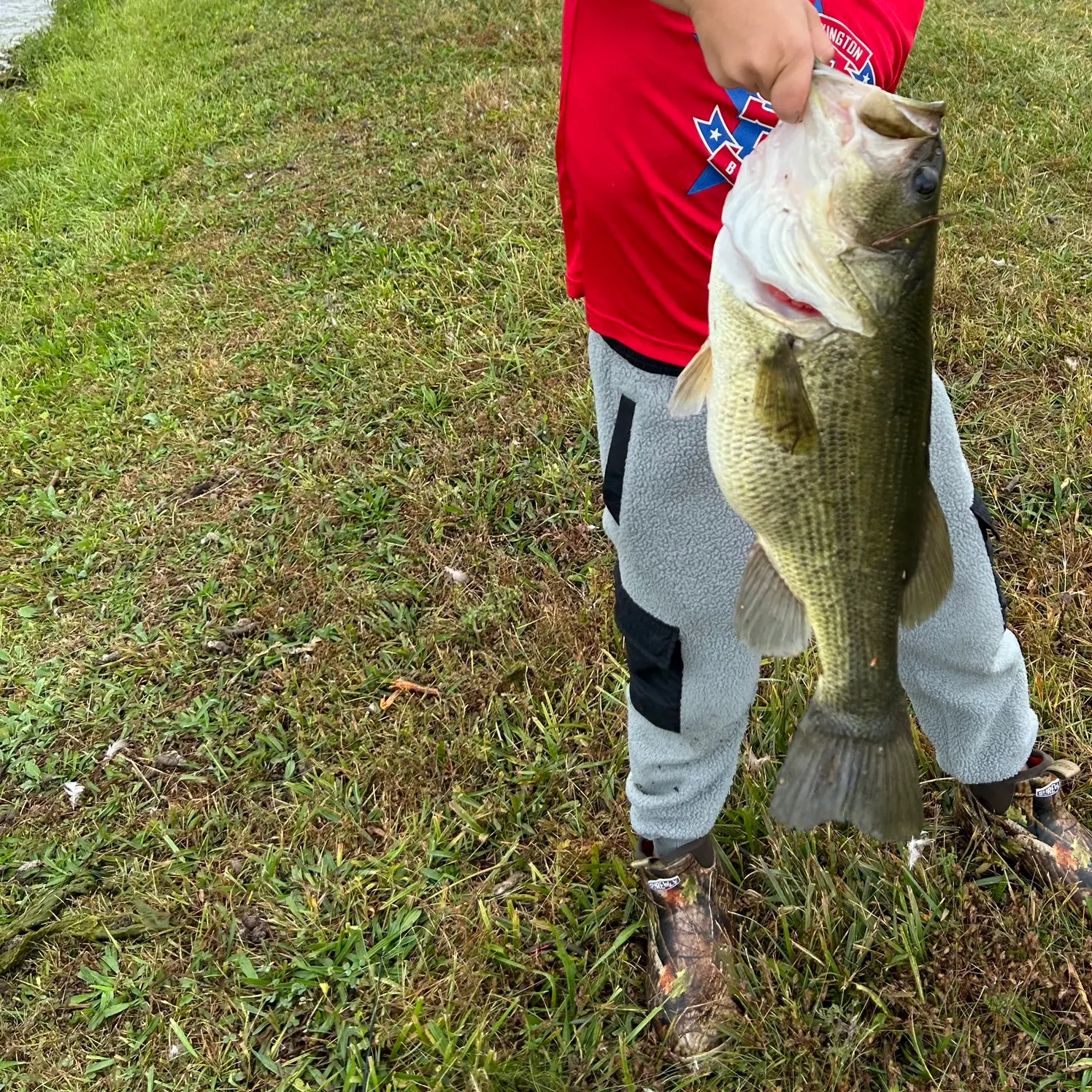 Fish caught on Fishbrain