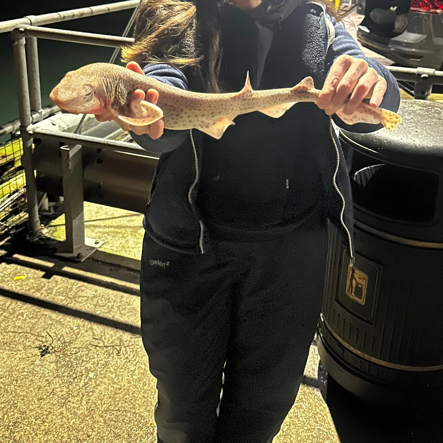 The most recent Lesser spotted dogfish catches on Fishbrain