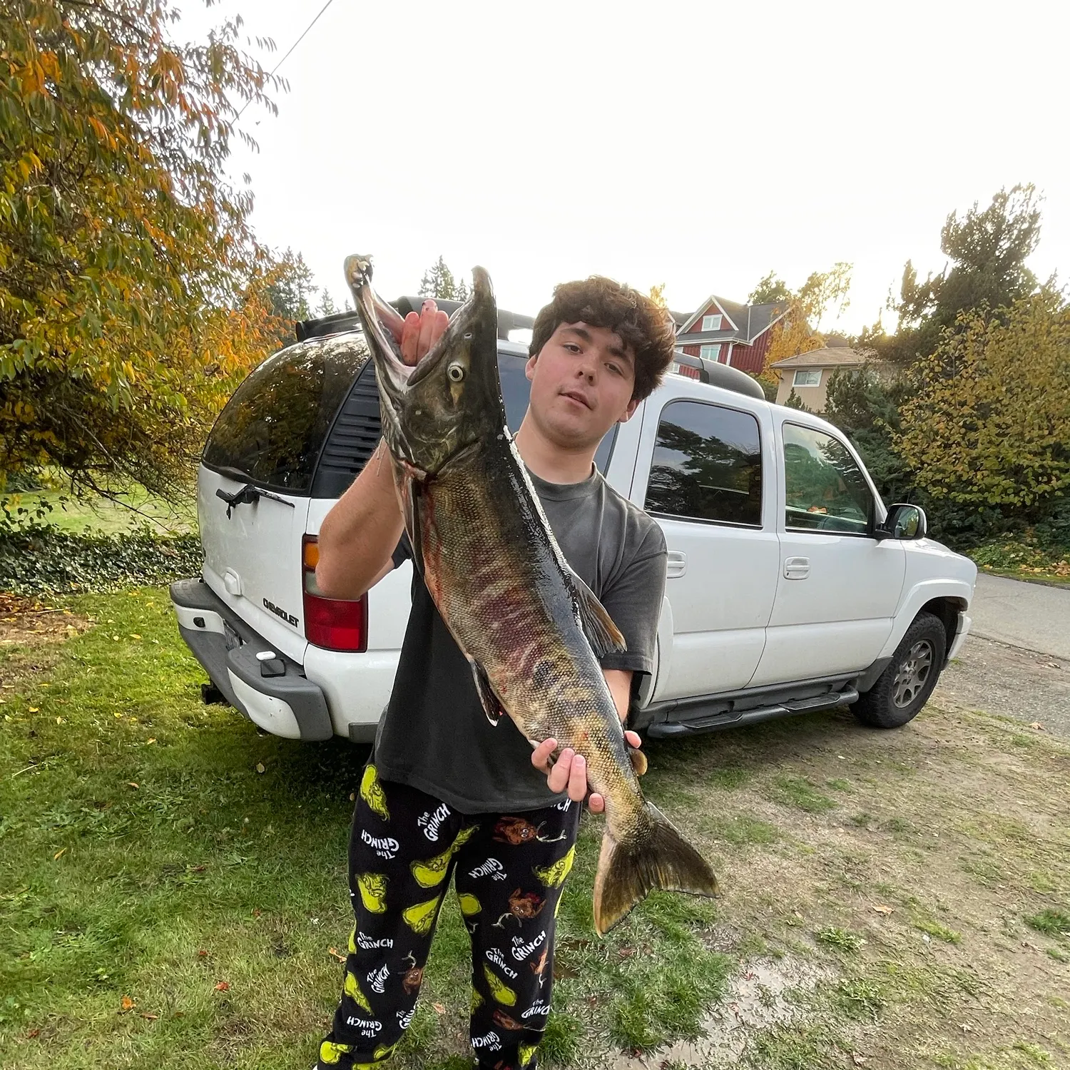 The most recent Chum salmon catches on Fishbrain