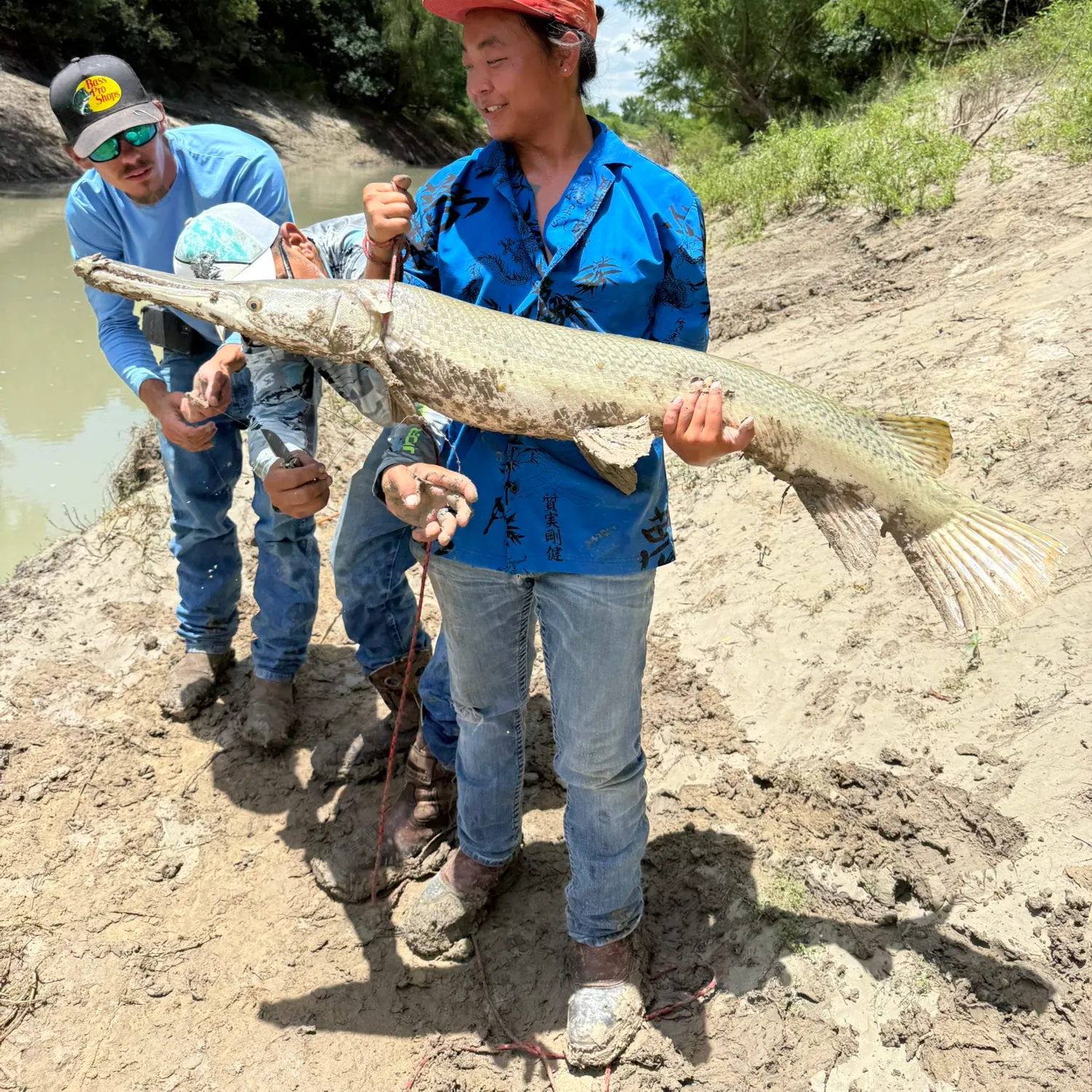 The most recent Alligator gar catches on Fishbrain