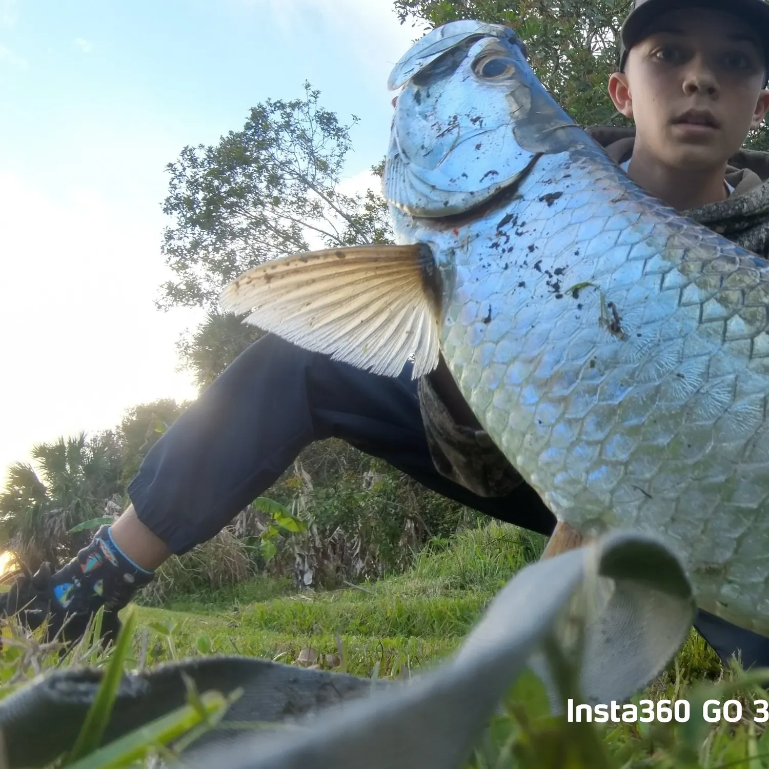 The most recent Tarpon catches on Fishbrain