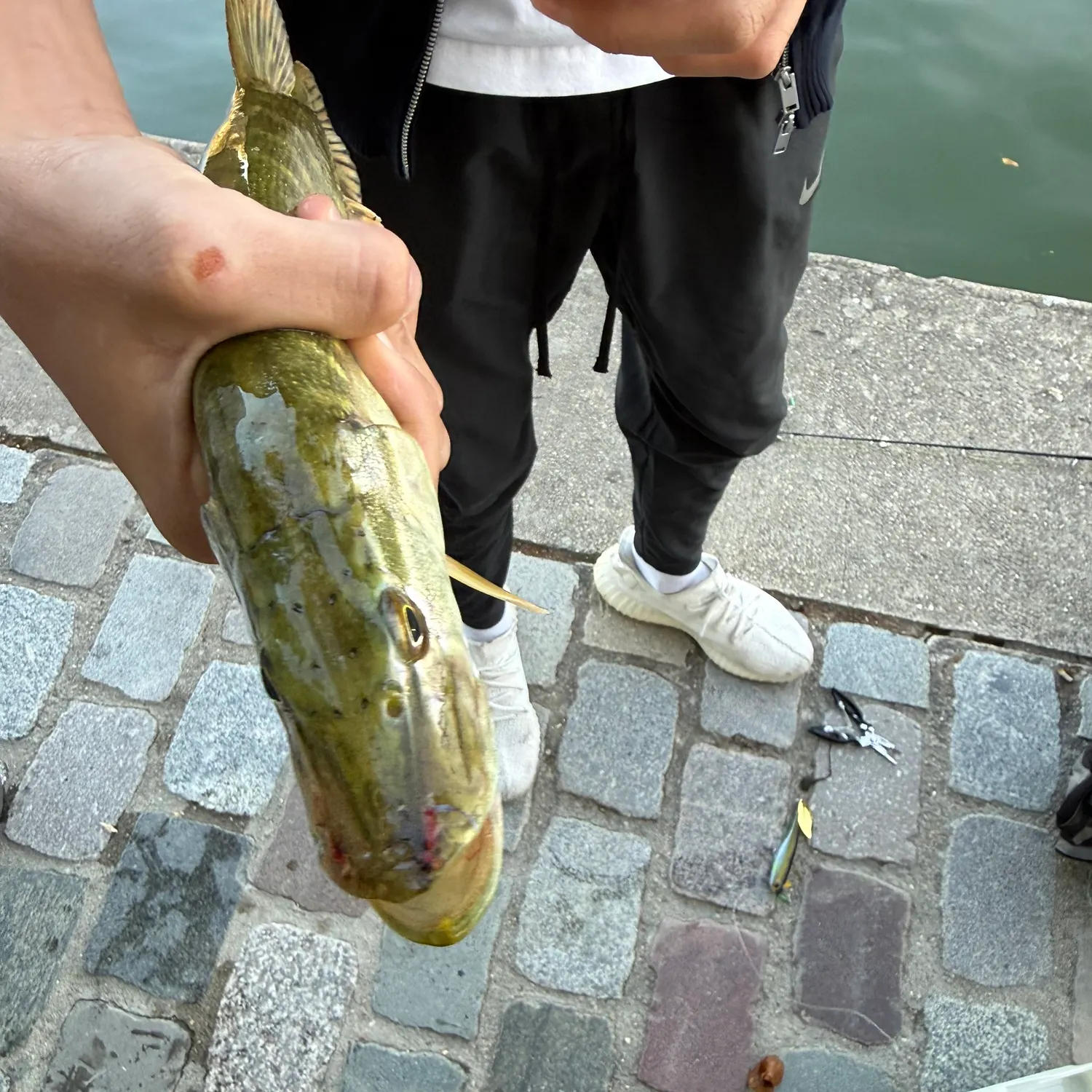 catch