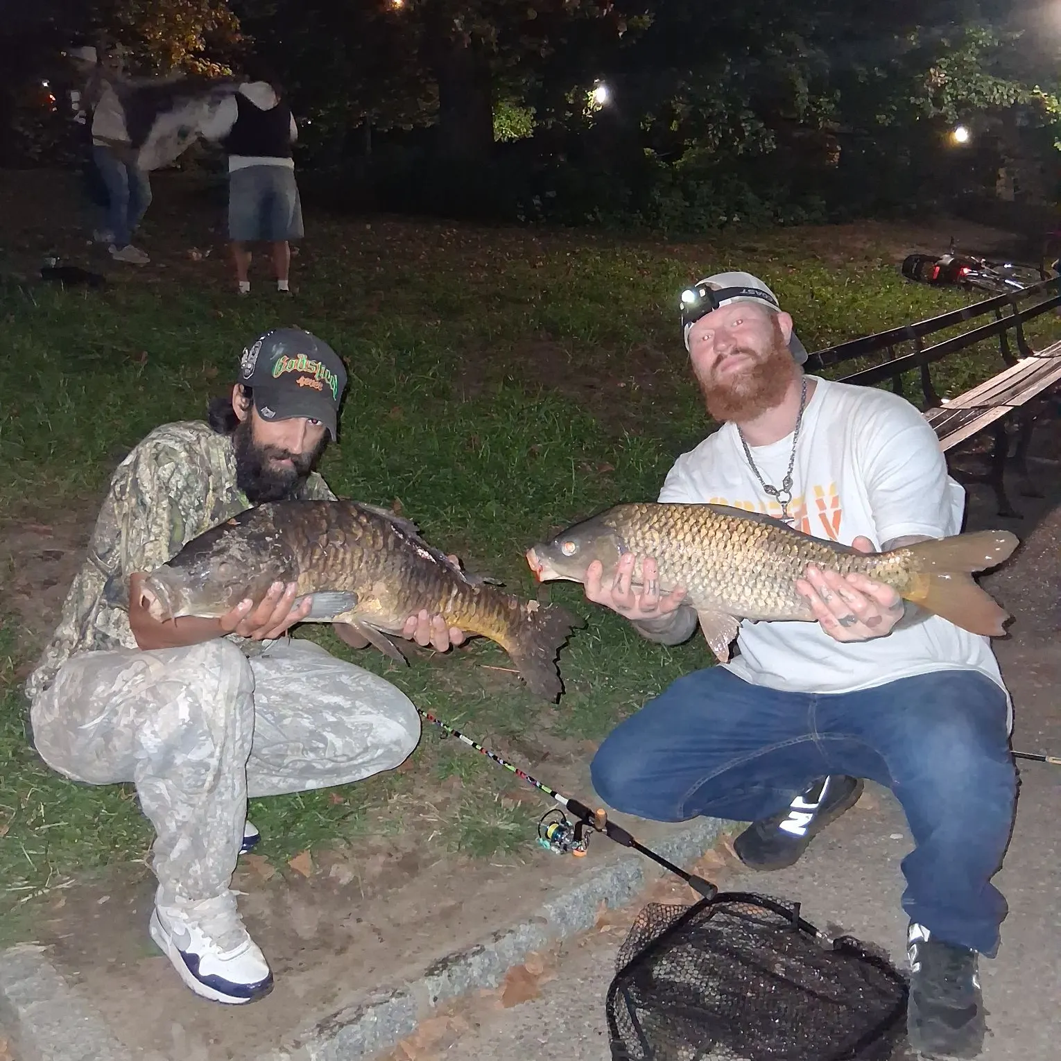 Common carp caught on Fishbrain
