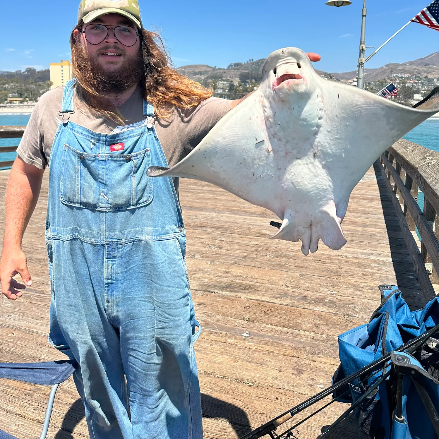 The most recent Plain bonito catches on Fishbrain