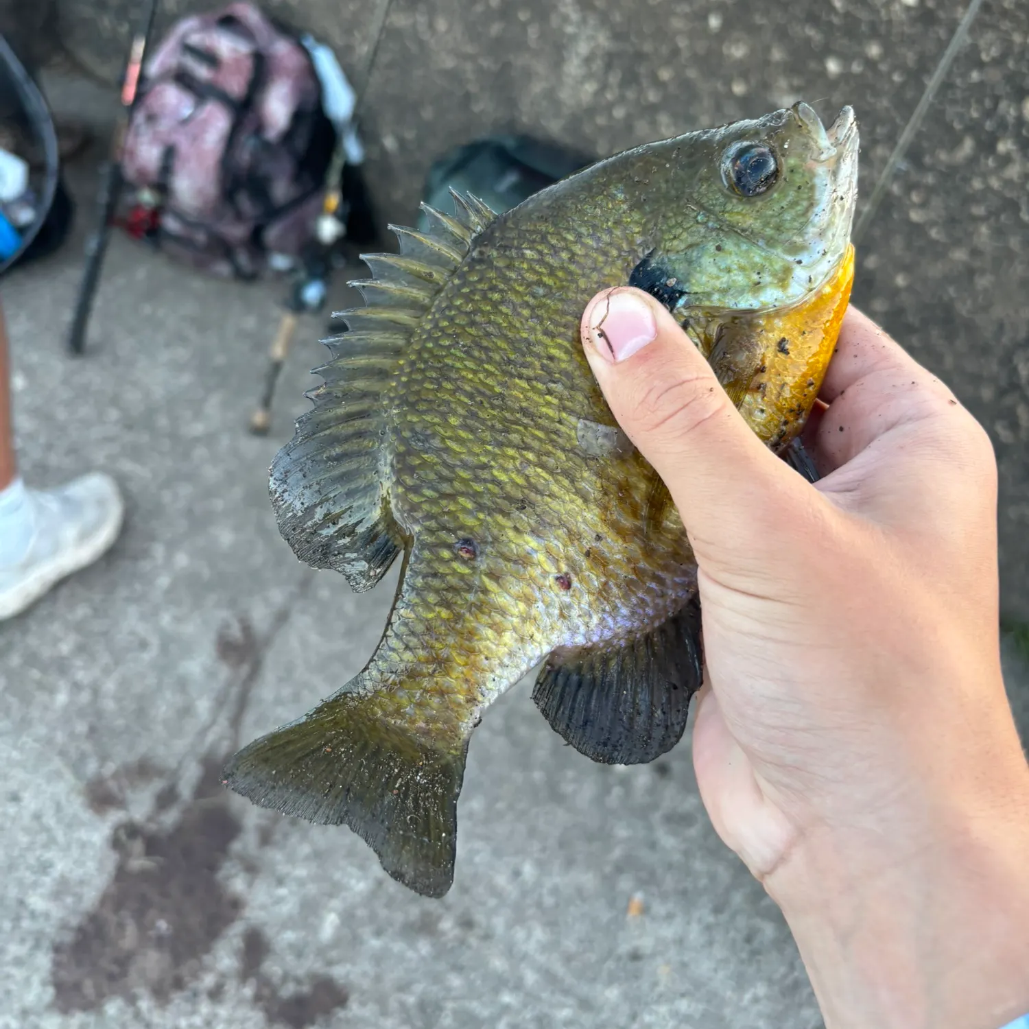 catch