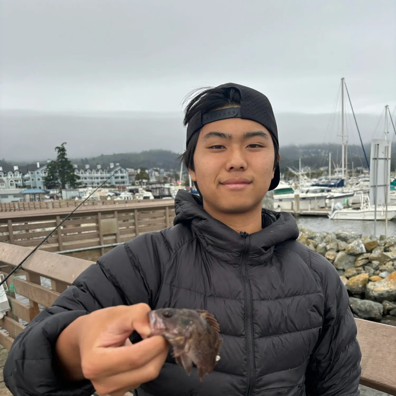 The most recent Grass rockfish catches on Fishbrain
