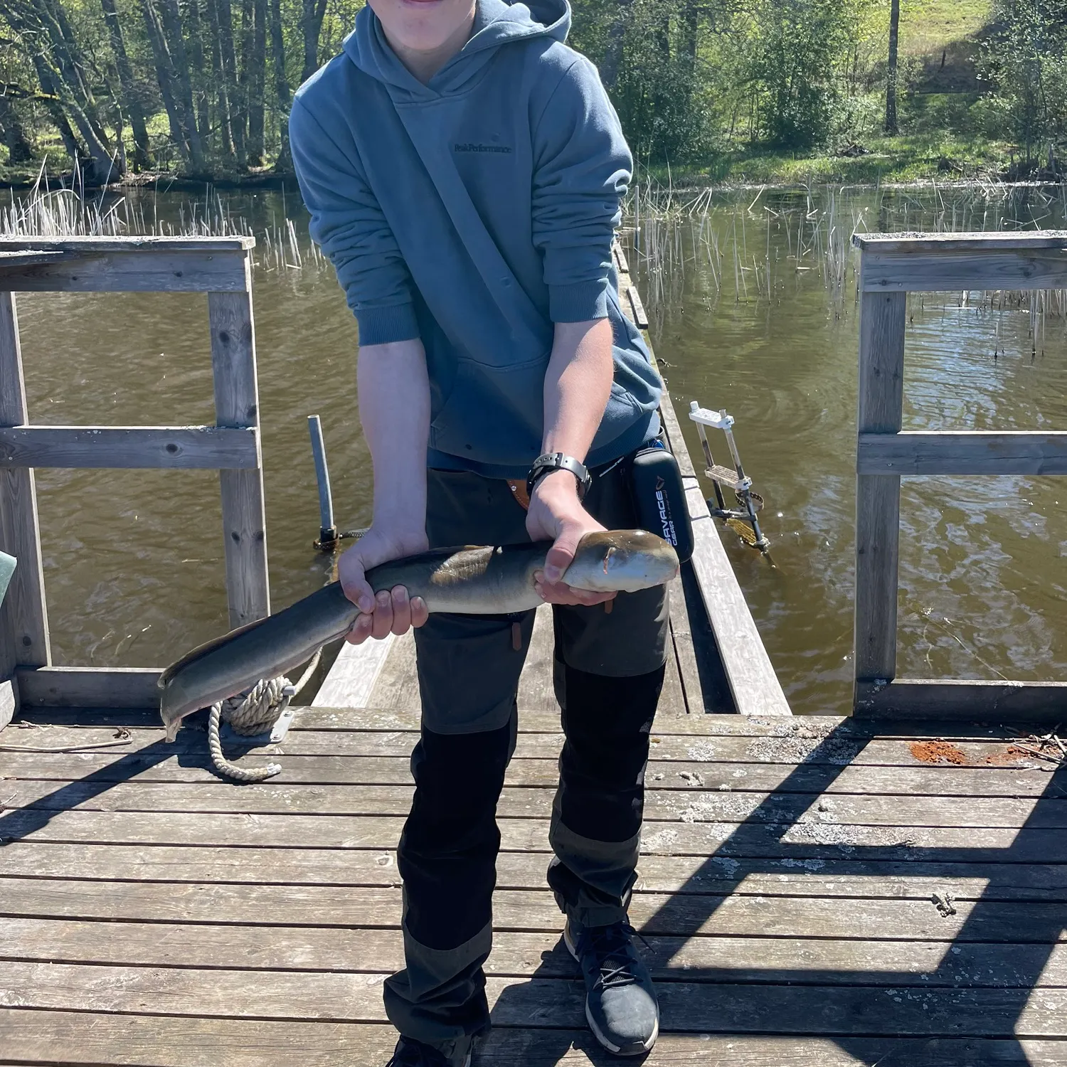 The most recent European eel catches on Fishbrain