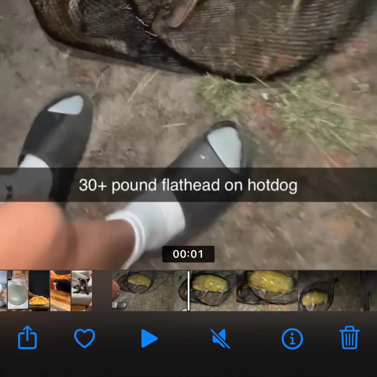 recently logged catches