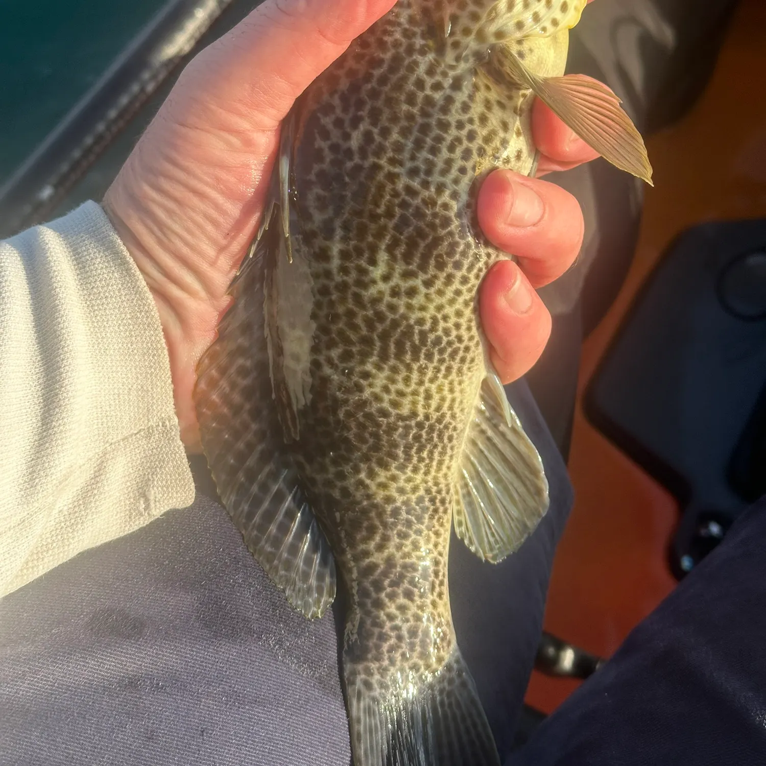 catch
