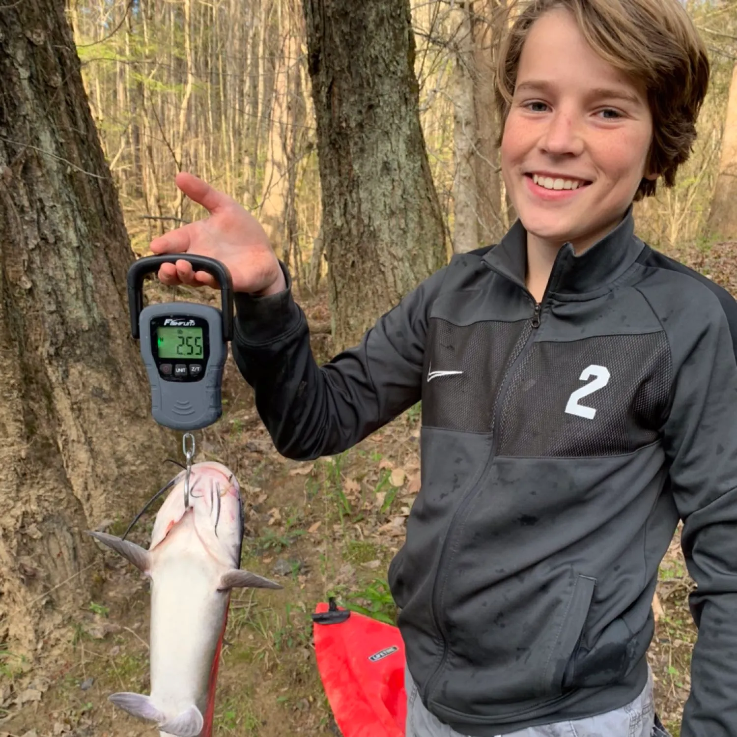 Channel catfish caught on Fishbrain