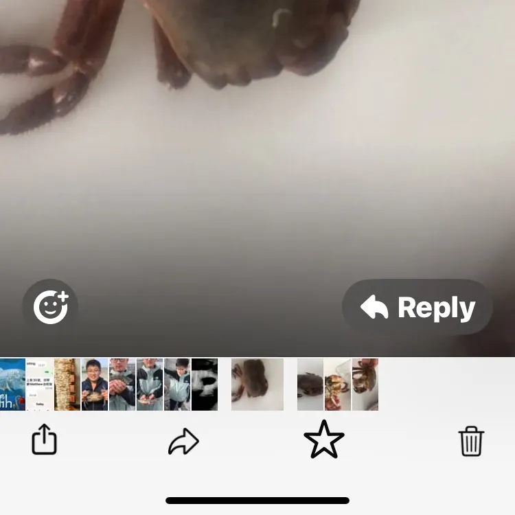 The most recent Dungeness crab catches on Fishbrain
